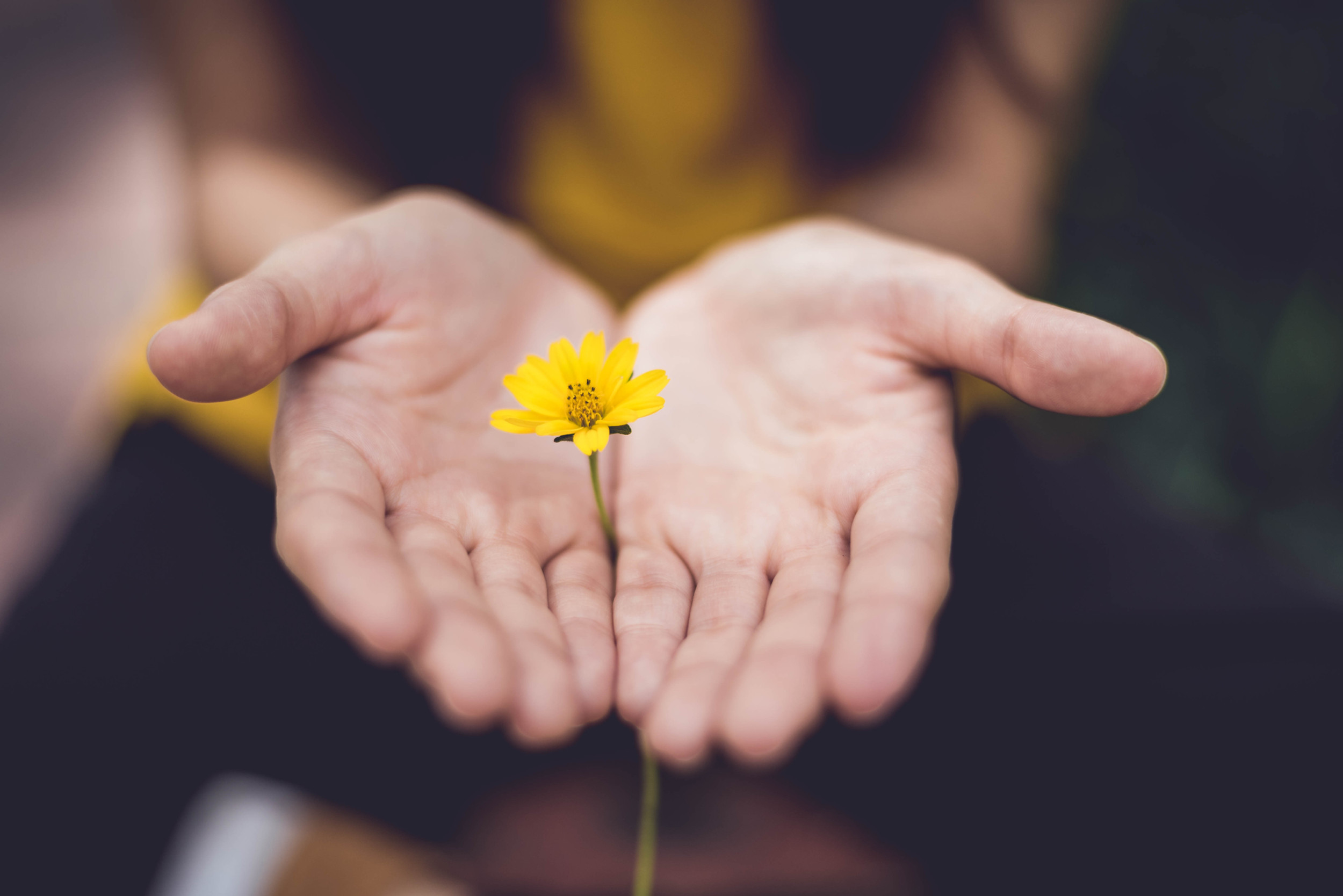 The True Meaning of Personal Growth: A Guide to Embracing and Practicing It Daily